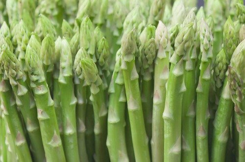 Asparagus