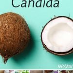 10 Foods That Kill Candida | yourfitnessjourneytoday.com