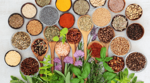 display of different herbs and spices featured