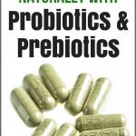 How to Lose Weight Naturally with Probiotics & Prebiotics | yourfitnessjourneytoday.com