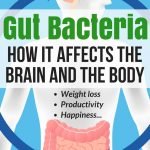 How Gut Bacteria Affects the Body and the Brain | Weight Loss | yourfitnessjourneytoday.com