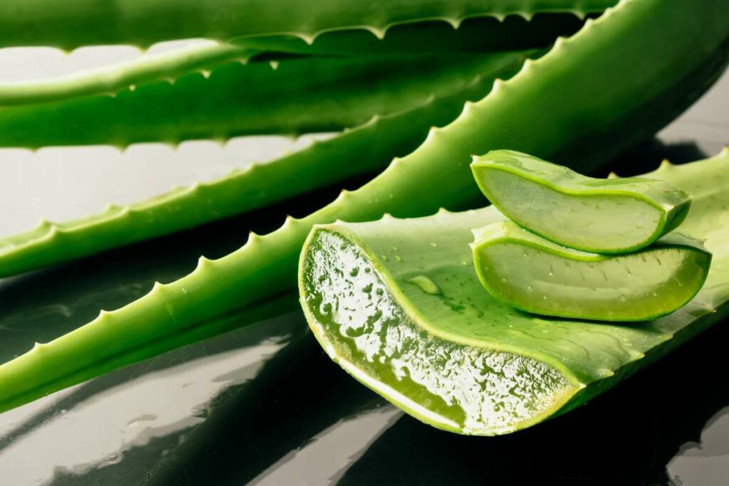 Benefits of Vitamin E aloe for cuts and scrapes