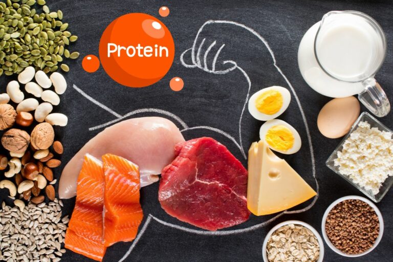 Why You NEED to Prioritize Protein in Your Diet feature photo